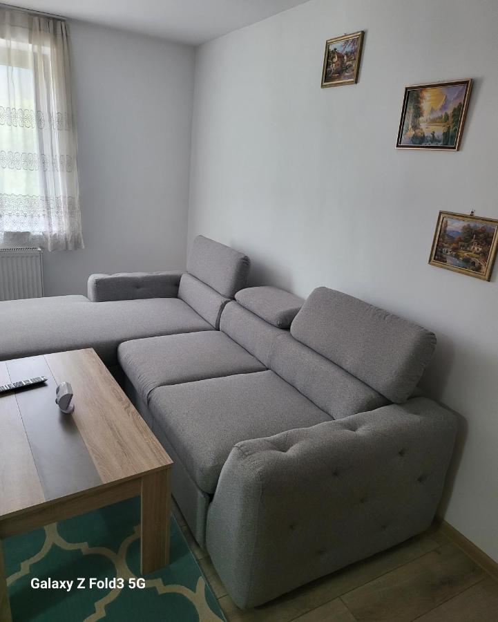 Апартаменты Apartament In Bucovina, Campulung Moldovenesc, Impecabil . Экстерьер фото
