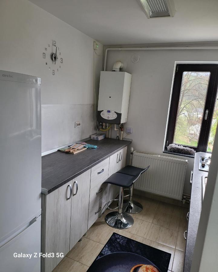 Апартаменты Apartament In Bucovina, Campulung Moldovenesc, Impecabil . Экстерьер фото