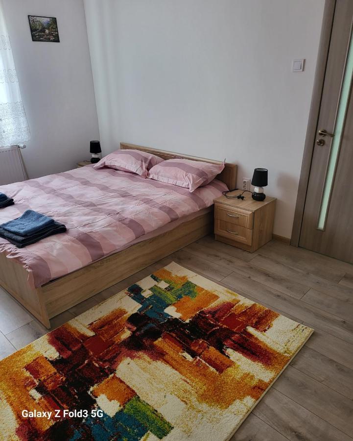 Апартаменты Apartament In Bucovina, Campulung Moldovenesc, Impecabil . Экстерьер фото