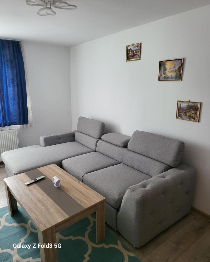 Апартаменты Apartament In Bucovina, Campulung Moldovenesc, Impecabil . Экстерьер фото